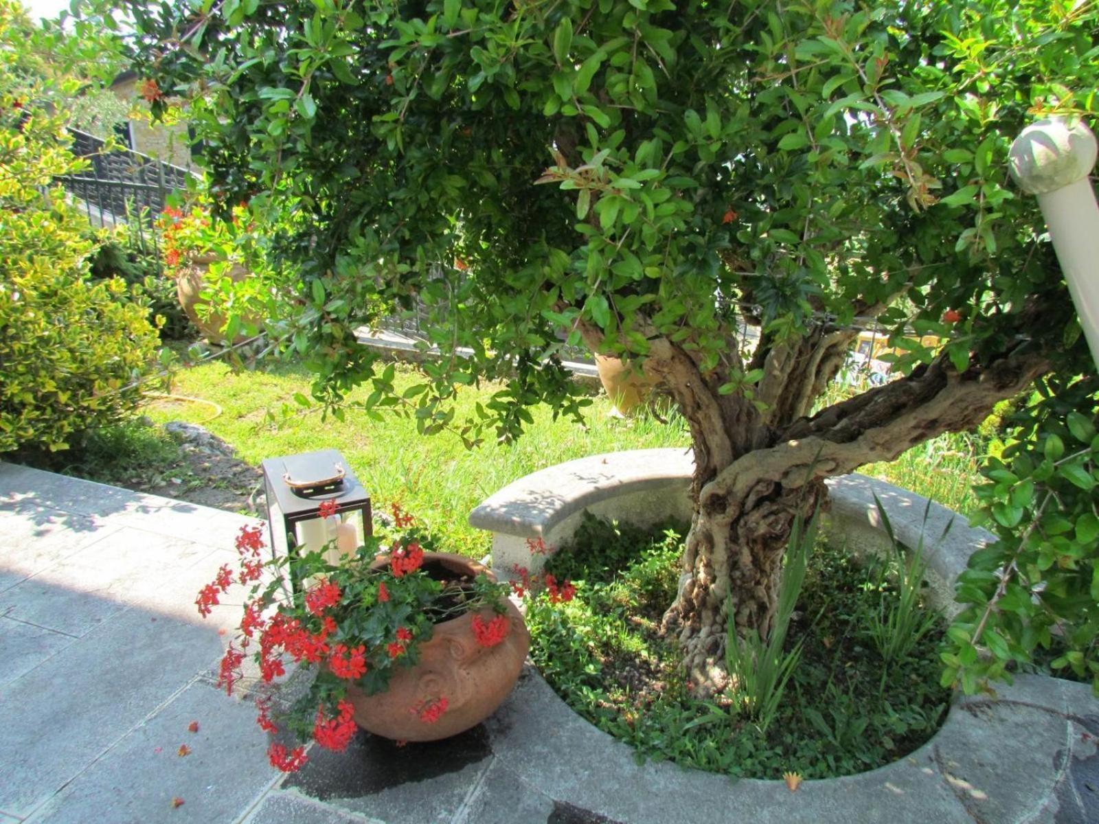 Welcome Traveller Alema House Cavaion Veronese Exterior foto
